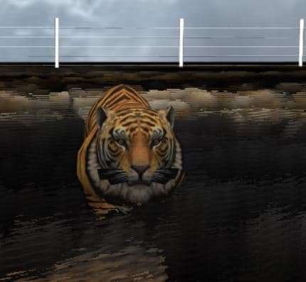 Control a 3D tiger and experience running, jumping, and gliding with fluid movement mechanics.